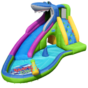 Inflatable Water Slide